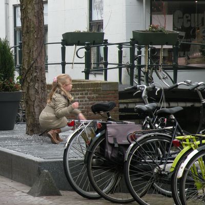 3128_geur_half_gouda_19_03_2015.jpg