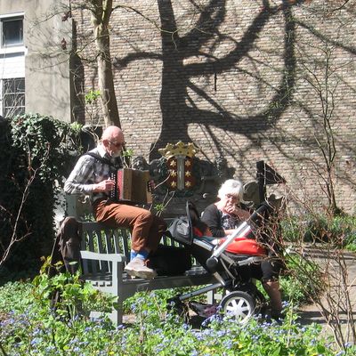 3158_ouder_worden_half_gouda_18_04_2015.jpg