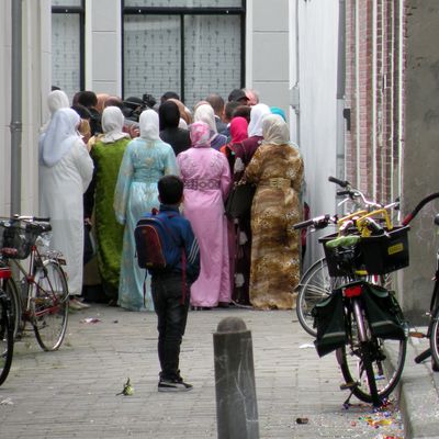 3212_van_verre_half_gouda_10_06_2015.jpg