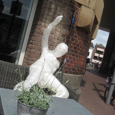 3232_verdorde_zomer_half_gouda_01_07_2015.jpg