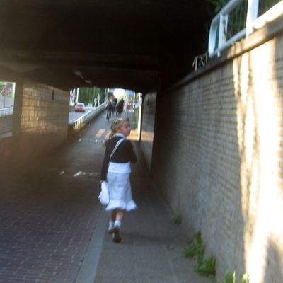 3262_zonnekleren_half_gouda_22_07_2015.jpg