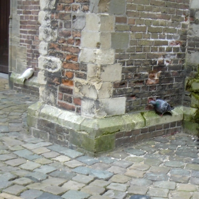 355_monumentendag.jpg