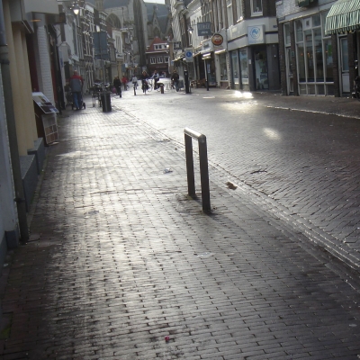 359_zilverglans.jpg