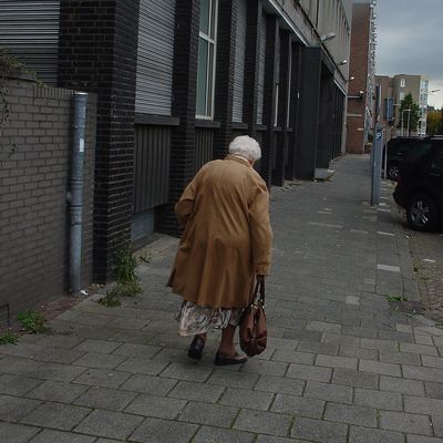 366_z._t..jpg