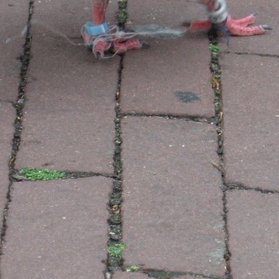 389_van_de_duiven_13_10.jpg