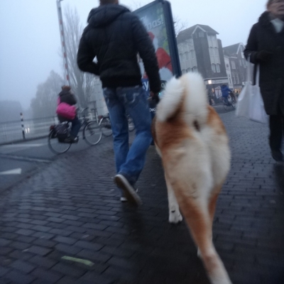 4036_slecht_zicht.jpg