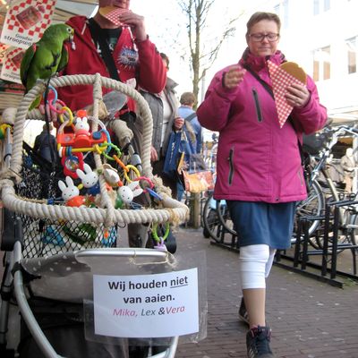 4090_het_wonder_te_beleven_half_gouda_16_03_2016.jpg