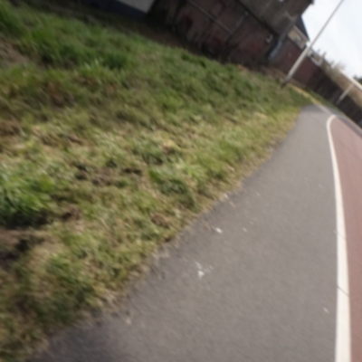 4092_niet_gauw_half_gouda.jpg