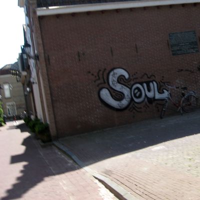 4153__zielentaal_half_gouda_15_05_2016.jpg