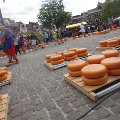 4218_verschijnselen_half_gouda.jpg