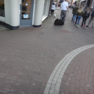 4236_van_een_kwart_half_gouda.jpg