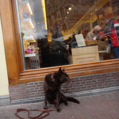 4270_his_masters_paw_half_gouda.jpg