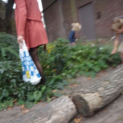 4320_wallenberg_is_dood_half_gouda.jpg
