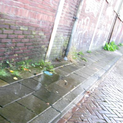 4323_fijn_als_het_regent_half_gouda_08_11_2016.jpg