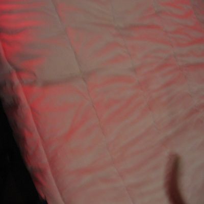 433_onze_kat_27_11.jpg