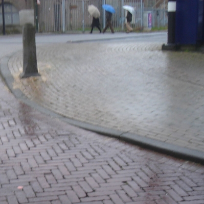 439_optocht.jpg