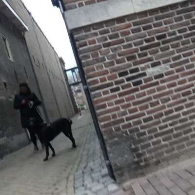 4405_duistere_berichten_half_gouda.jpg