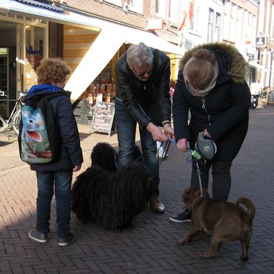 4438_nauwe_banden_half_gouda_26_02_2017.jpg