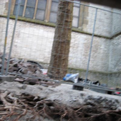 4501_uitgelopen_half_gouda_30_04_2017.jpg