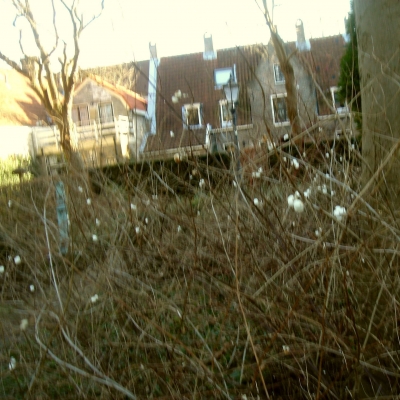 472_besjes.jpg