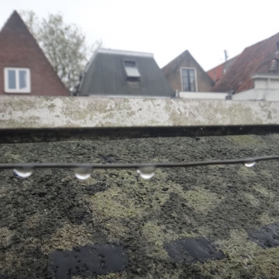 4741_lekker_uitbundig_half_gouda.jpg