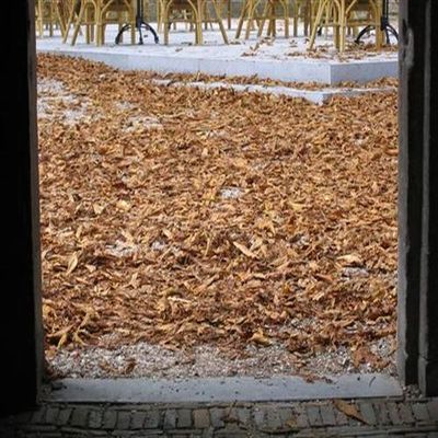 47_herfst_311.jpg