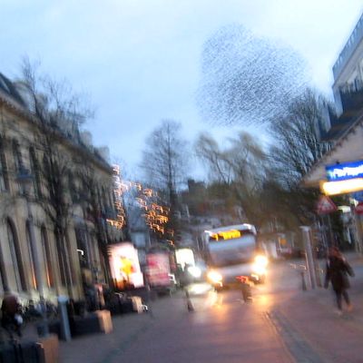 4817_naar_boven_half_gouda_23_02_2020.jpg