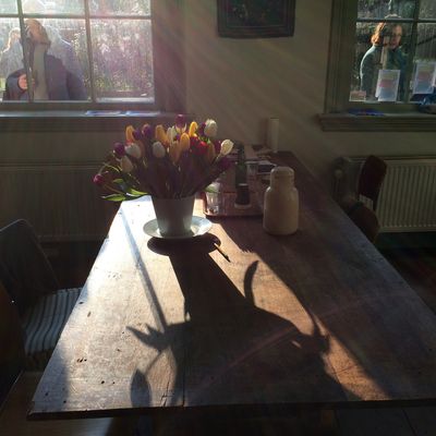 4822_in_het_licht_half_gouda_15_03_2018.jpg