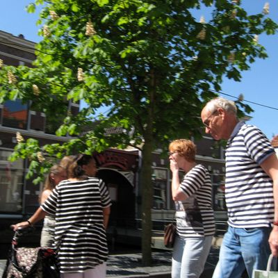 4881_convergentie_half_gouda_13_05_2018.jpg