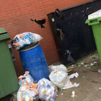 4905_alles_wordt_gegeven_half_gouda_30_05_2018.jpg