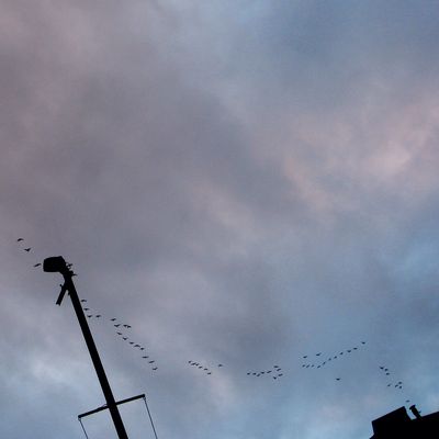 490_in_de_lucht_23_1.jpg