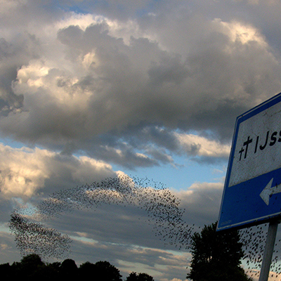4975_twee_keer.jpg