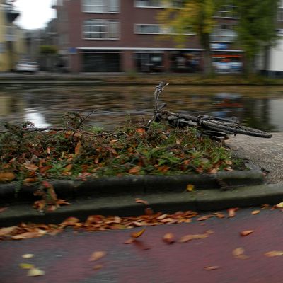 5061_los_half_gouda_25_10_2020.jpg