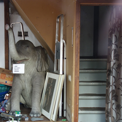 5169_olifant_in_de_kamer.jpg