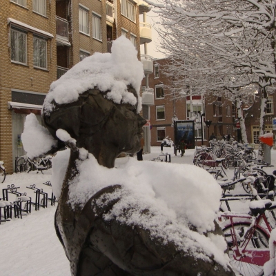 5171_haar_boezem_half_gouda.jpg