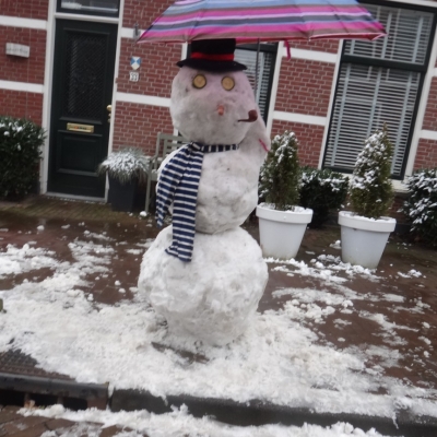 5179_dodelijk_half_gouda.jpg