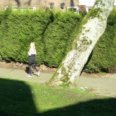 5208_de_pijl_half_gouda_31_03_2019.jpg