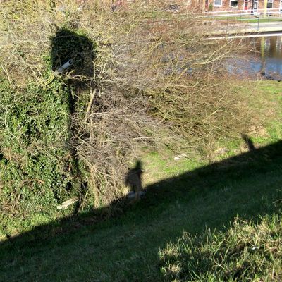 5208_ondergang_half_gouda_18_03_2021.jpg