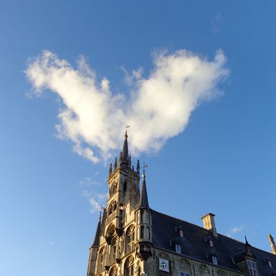 5225_liever.jpg