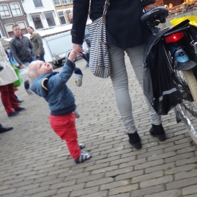 5229_naar_zijn_vaartje_half_gouda.jpg
