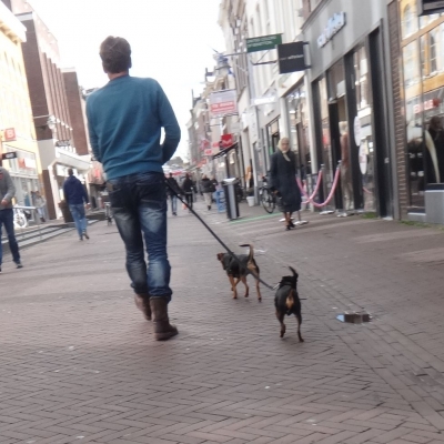 5242_natuurmens_half_gouda.jpg