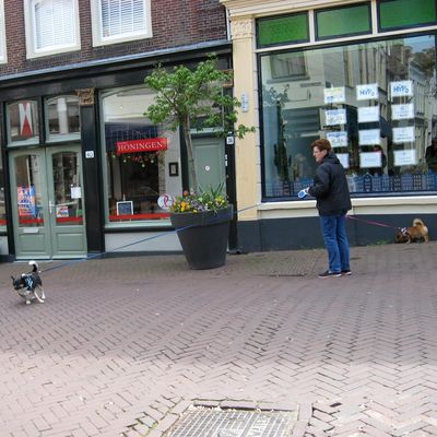 5262_coalitie_half_gouda_23_05_2019.jpg
