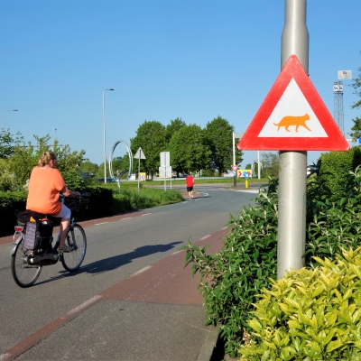 5280_de_rode_draad.jpg