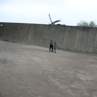 5312_het_hoge_half_gouda_01_07_2021.jpg