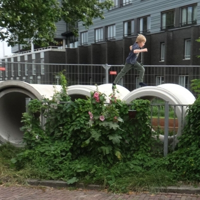 5332_zijn_ronden_half_gouda.jpg