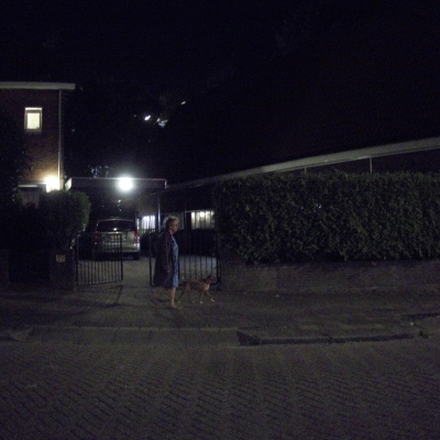 5361_wandelen_zonder_hond.jpg