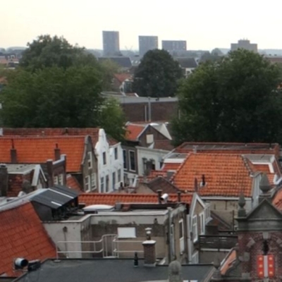 5391_spelmateriaal_half_gouda.jpg