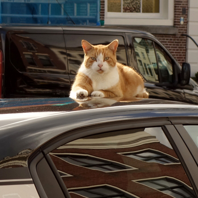 5409__man_en_muis.jpg