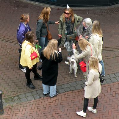 5437_het_kleine_geval_half_gouda_07_11_2021.jpg