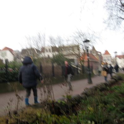 5493_boomstammen_half_gouda_09_01_2020.jpg